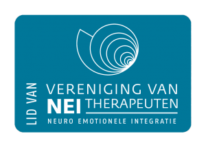 VVNT logo